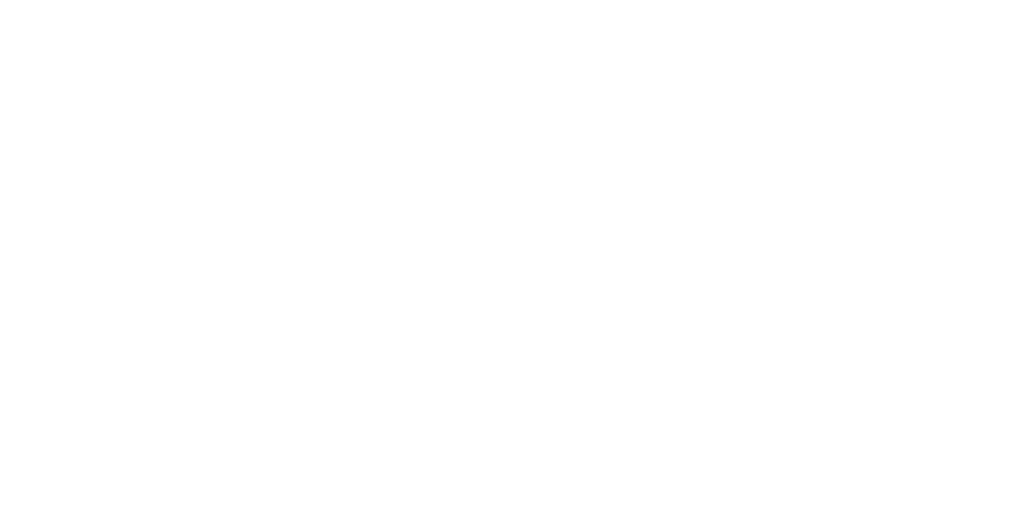 SPAN Logo